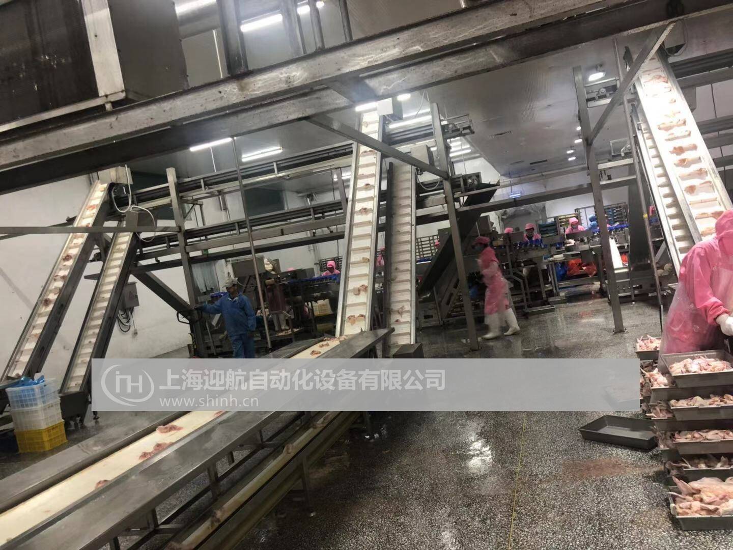 肉制品皮帶輸送機